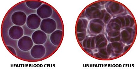 LIVE BLOOD CELL MICROSCOPY & NUTRITION CLINIC primary image