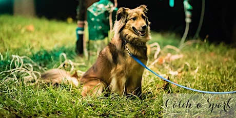 4th Annual Paws in the Park primary image