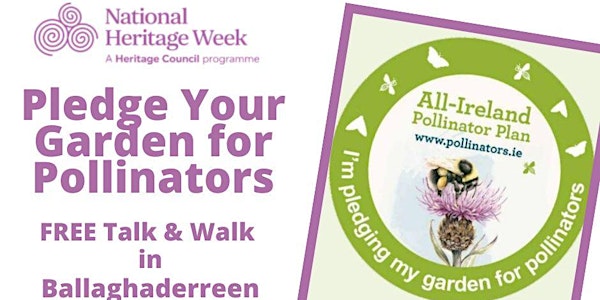 Pledge Your Garden for Pollinators, Talk & Walk - Ballaghaderreen