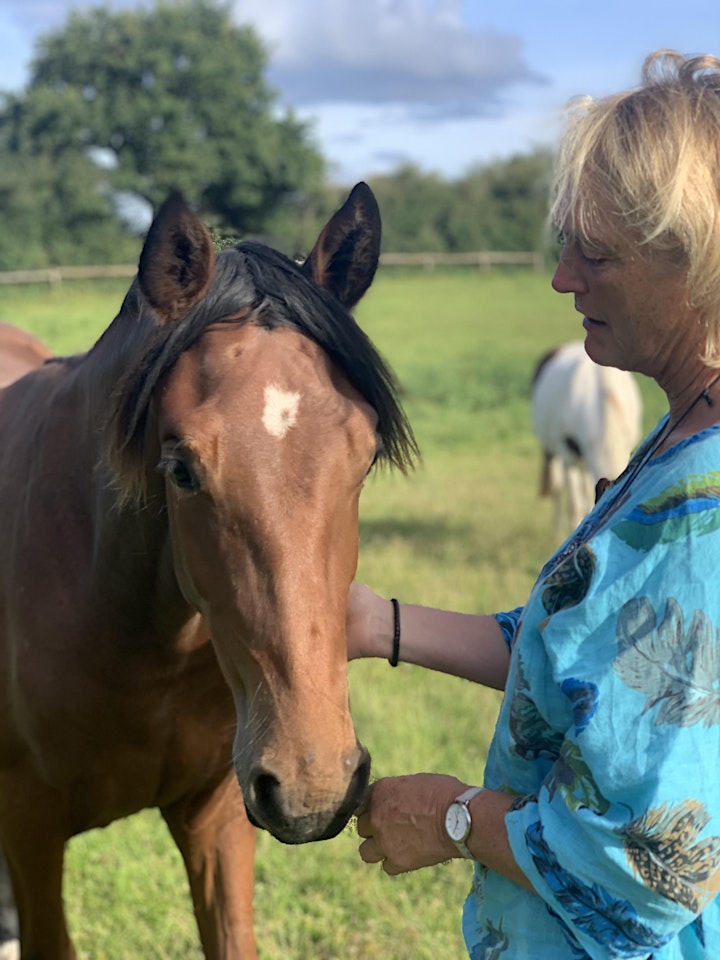 YOGA RETREAT Reconnect to your Self through Yoga and Horses: Bild 
