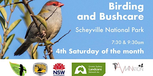 Birding & Bushcare at Scheyville National Park