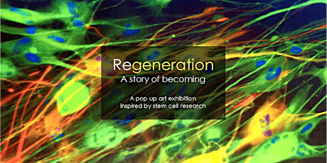 Regeneration: A story of becoming primary image