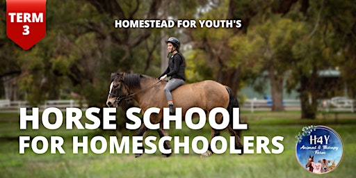 Horse School for homeschoolers Term 3