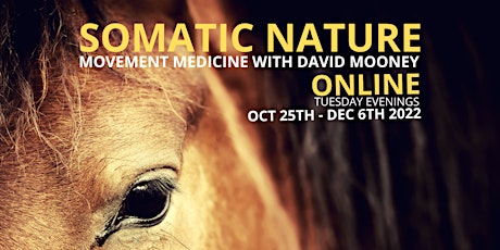 Somatic Nature - Movement Medicine and Polyvagal Practice