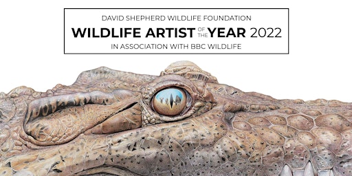 DSWF Wildlife Artist of the Year 2022 Virtual Award Ceremony