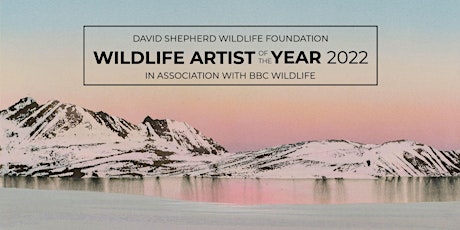 DSWF Wildlife Artist of the Year 2022 Artist's Reception