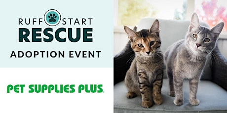 Blaine Pet Supplies Plus Adoption Day Event