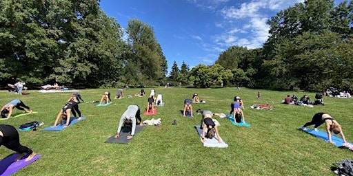 JuneShine Presents: Free Yoga in McCarren Park!