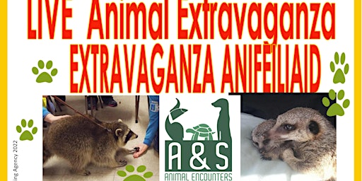 Live ANIMAL EXTRAVAGANZA / Anifeiliad Extravaganza