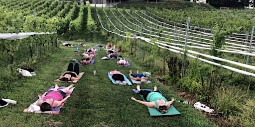 Yoga in the Vineyard @Grandview