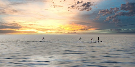 Chichester Paddleboarders