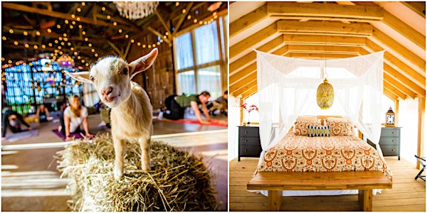 NY Goat Yoga Glamping Retreat for Two (All-Inclusive/2 nights)