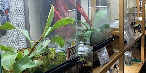 Texas Triffid Ranch Seventh Anniversary and Carnivorous Plant Open House