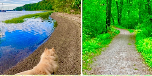 Doggie Hike with optional Swim: Goddard  Park (Free)
