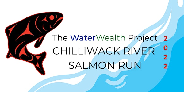 Chilliwack River Salmon Run