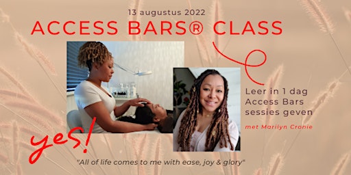 Access Bars Class | Schiedam