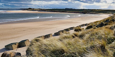 Tales from the North East Coast