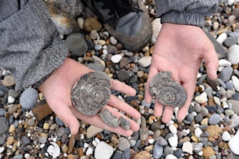 Coastal Explorers – Fossil Hunt