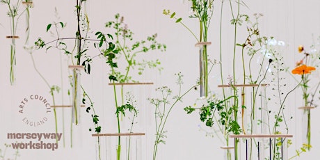 Drawing and playing with plants with Charlotte Smithson