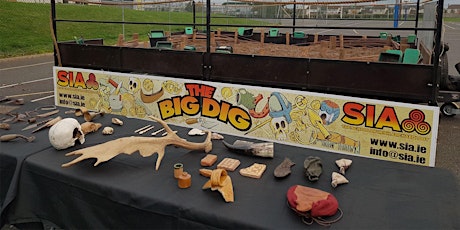 The Big Dig - School of Irish Archaeology