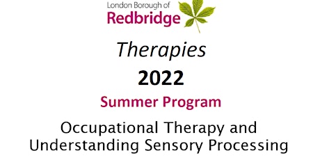 Occupational Therapy and Understanding Sensory Processing Challenges