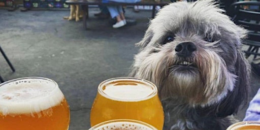 Barks and Brews Pint Party!