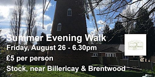 Summer Evening Walk - Stock
