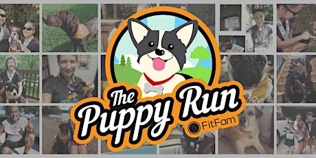 Puppy Run 2017 primary image