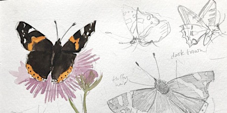 Eldorado Canyon State Park-Art in the Park: Drawing Butterflies