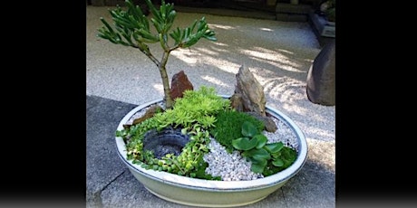 Miniature Japanese garden workshop