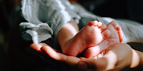 HELD: Prenatal + Postpartum Wellness Retreat