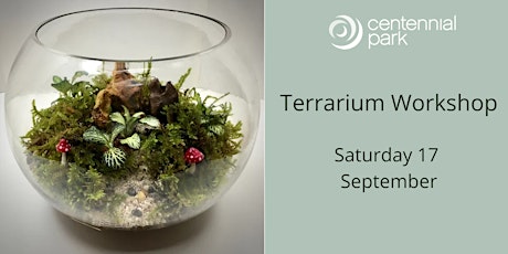 Primaire afbeelding van Terrarium Workshop