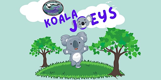 MCSS Koala Joeys