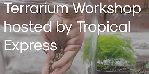 Terrarium Workshop hosted by Tropical Express
