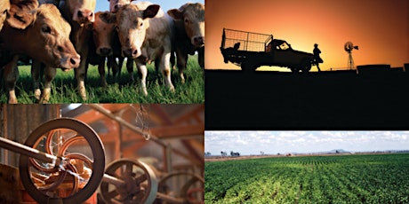 Agriculture and Food RD&E Roadmap  primary image