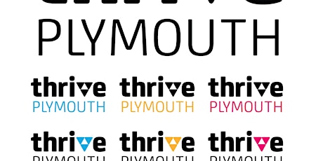 Thrive Plymouth Network Meeting