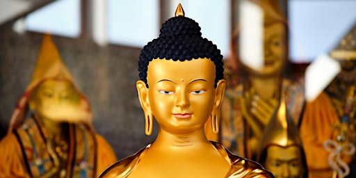 Learn the Fundamentals of Buddhist Meditation