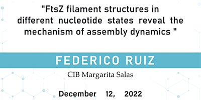 FtsZ filaments in different nucleotide states reveal assembly dynamics