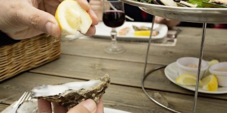 Howth Seafood Tour by Delicious Dublin Tours primary image