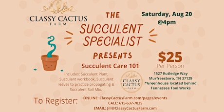 Succulent Care 101