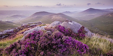 From bog to battlements; a Walk The Mournes tour.