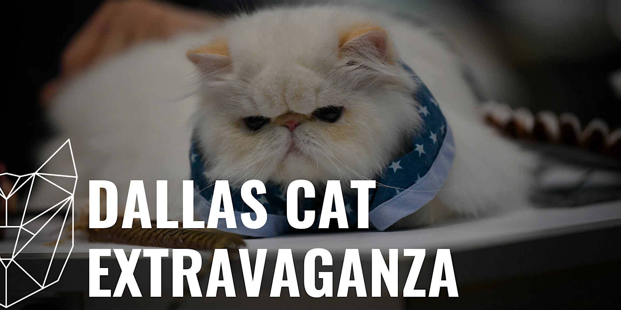 Dallas Cat Extravaganza