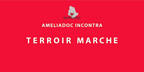 Ameliadoc incontra i vini di Terroir Marche