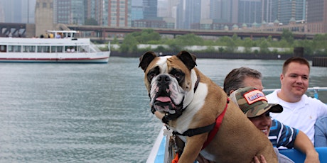 3rd Annual Canine Cruise & Lunch primary image