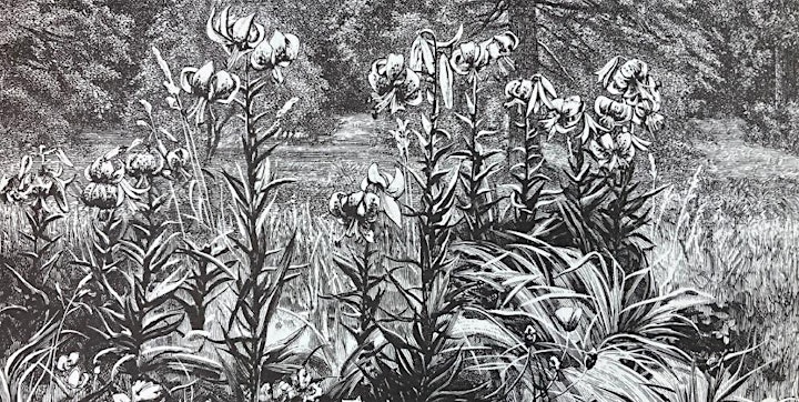 The 19th Century  Garden pt 3 image