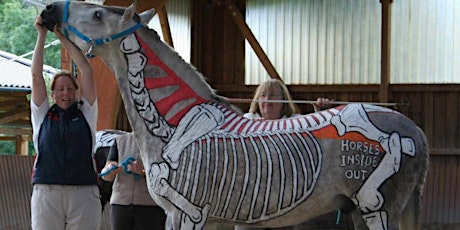 Horses Inside Out Applied Anatomy & Biomechanics Workshop primary image