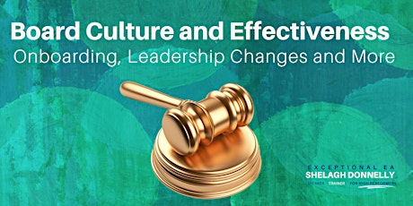 Board Culture and Effectiveness, with Shelagh Donnelly