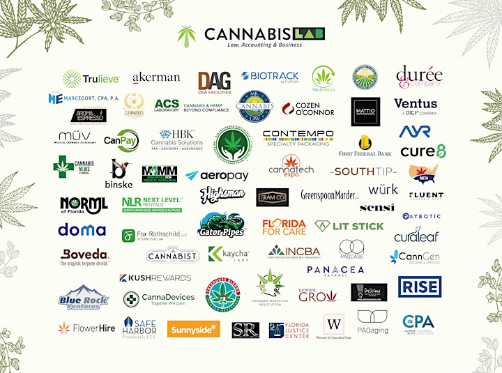 Government Relations in Cannabis image