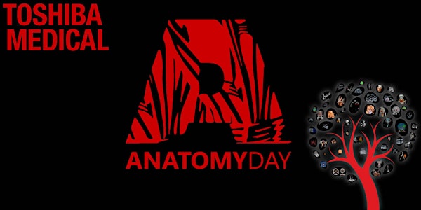 7th Annual Toshiba Medical Anatomy Day in Sydney NSW