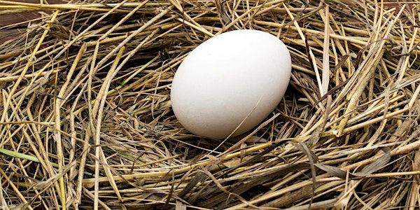 Hacking Research Across the Product Life Cycle for Startups